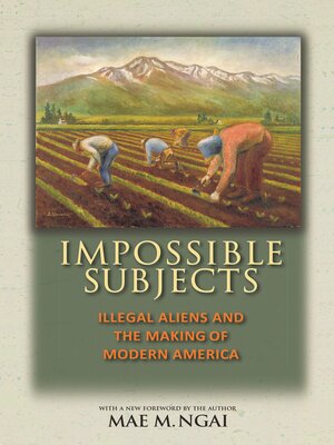 cover image of Impossible Subjects